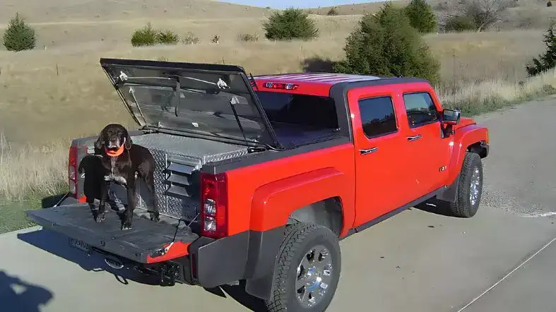 How to Ensure Comfort and Safety for Dogs Under Tonneau Covers