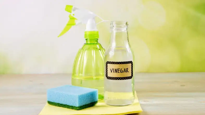 White Vinegar and Water Solution